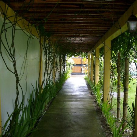 Greenyard Inn Manoc-Manoc Dış mekan fotoğraf