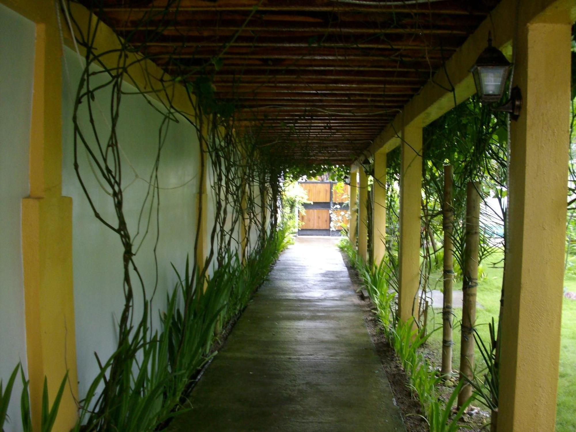Greenyard Inn Manoc-Manoc Dış mekan fotoğraf