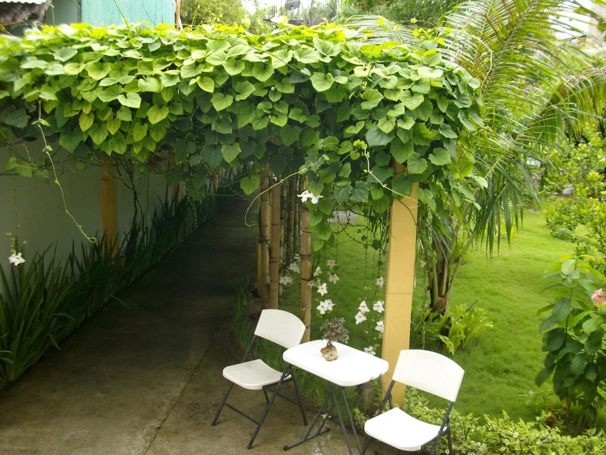Greenyard Inn Manoc-Manoc Dış mekan fotoğraf